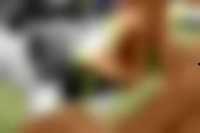 国产欧美视频在线观看,在线观影新体验